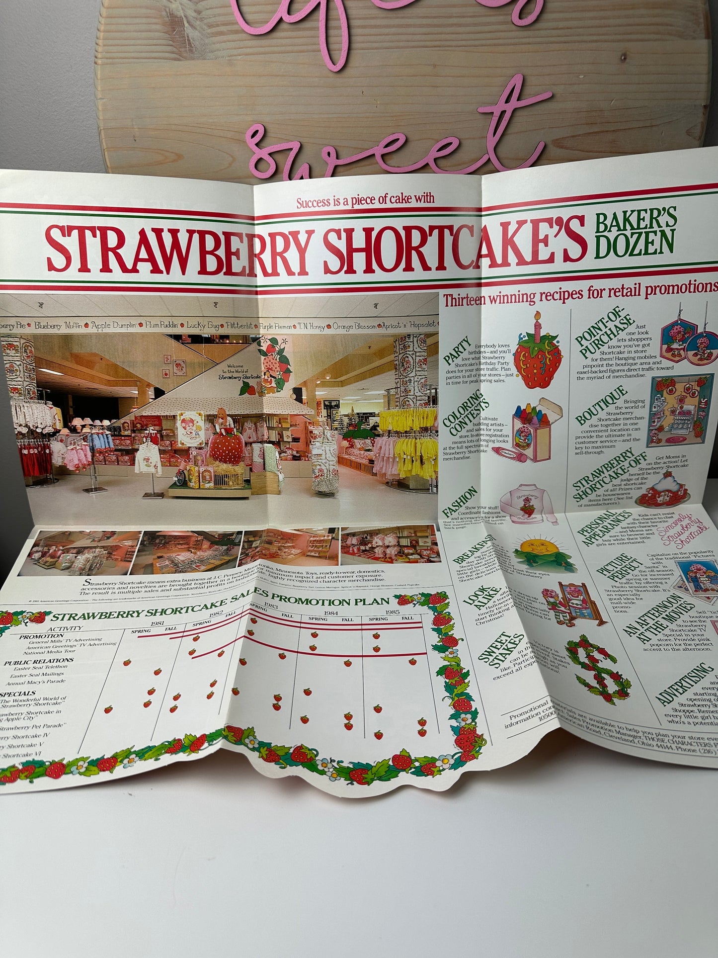 1981 Kenner Strawberry Shortcake Company Promotional Material Marketing Brochure "The Billion Dollar Year"