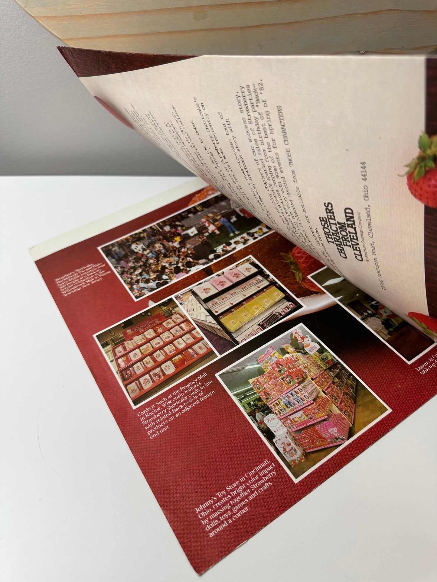 1981 Kenner Strawberry Shortcake Company Promotional Material Marketing Brochure "The Billion Dollar Year"