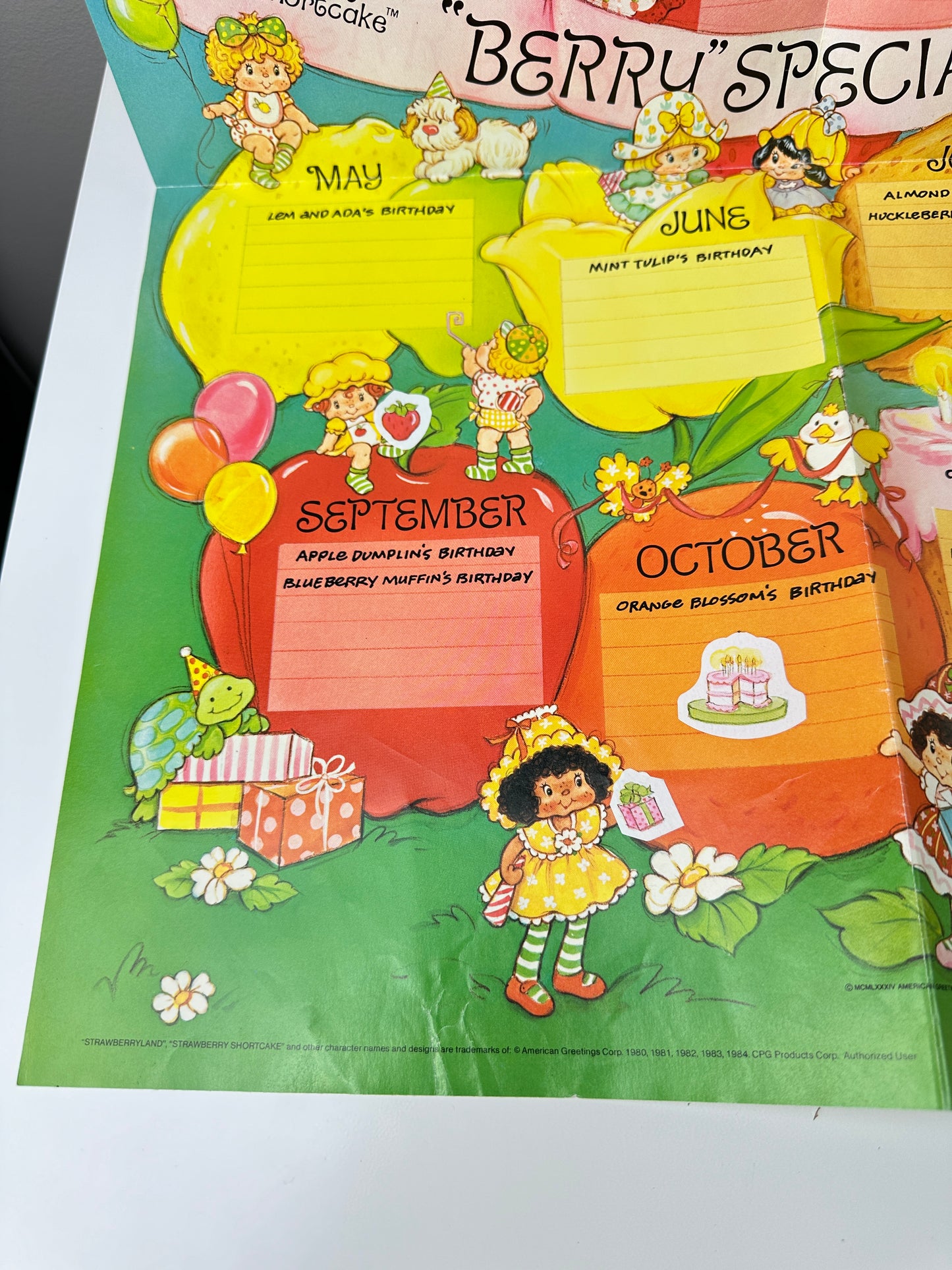 1984 Kenner Strawberry Shortcake Berry Special Friends Club Poster & Letter (#2)