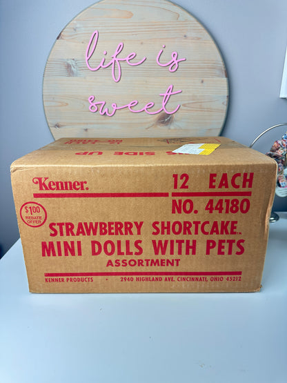 1980s Kenner Strawberry Shortcake Original Cardboard Box Shipping Carton