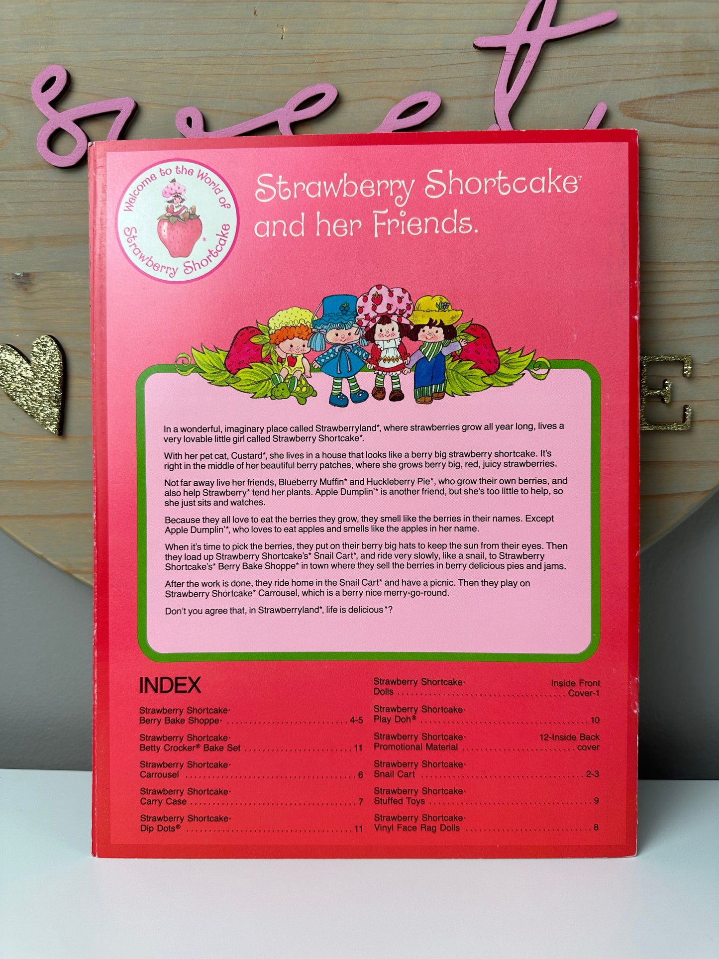 1980 Kenner Strawberry Shortcake Company Promotional Material Marketing Brochure